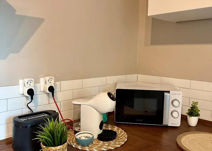 Belle Maison A Grigy 梅斯